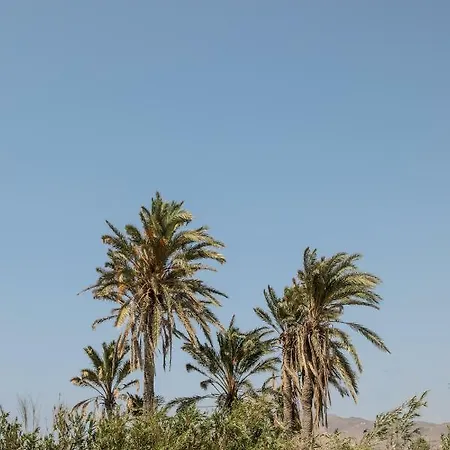 Vaya فيلة Agia Anna (Naxos)