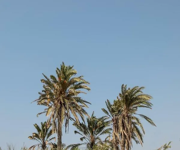 Vaya 别墅 Agia Anna (Naxos)