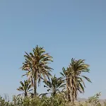 Vaya Βίλα Αγία Άννα