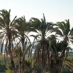 Vaya * Αγία Άννα