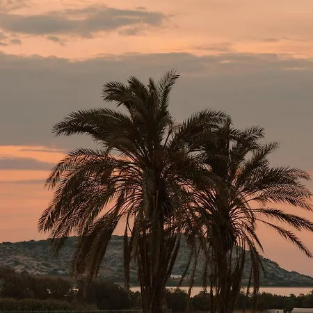 Vaya 빌라 Agia Anna (Naxos)