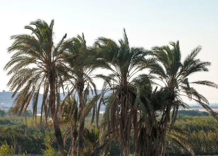 Vaya * Agia Anna (Naxos)